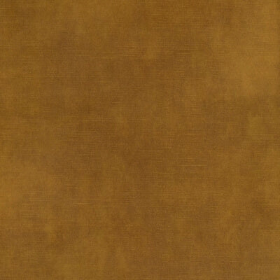 Oxide Velvet fabric swatch