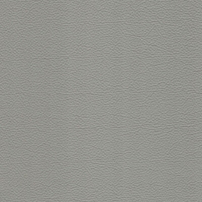 Ash Leather fabric swatch