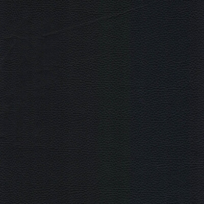 Black Leather fabric swatch