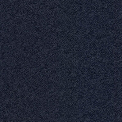 Brilliant Leather fabric swatch