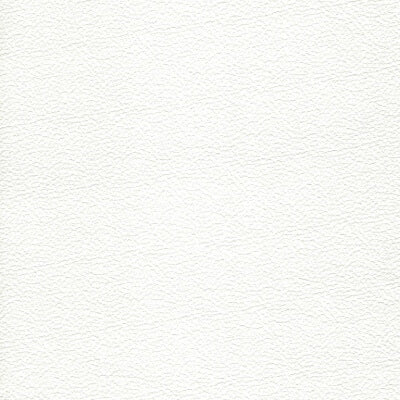 Coconut Leather fabric swatch