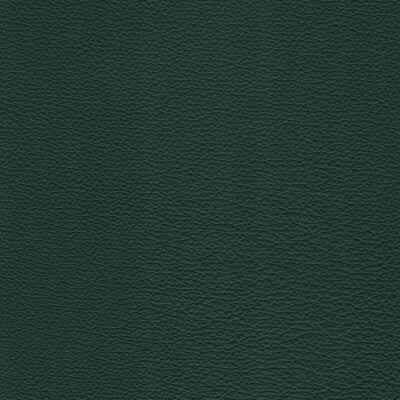 Envy Leather fabric swatch