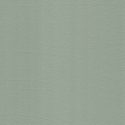 Mint Leather fabric swatch