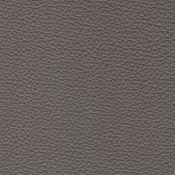Rodeo Leather fabric swatch