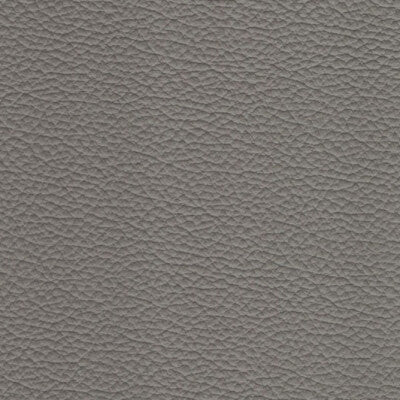 Serene Leather fabric swatch