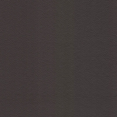 Silk Leather fabric swatch