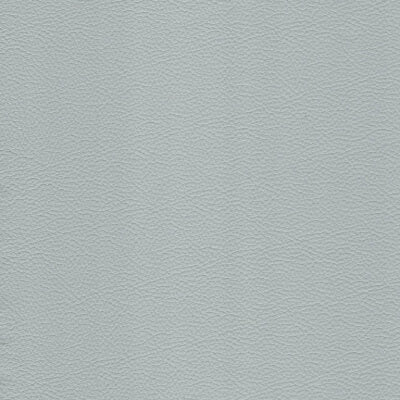 Steam Leather fabric swatch