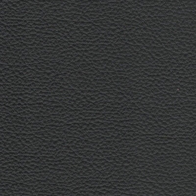 Steel Leather fabric swatch