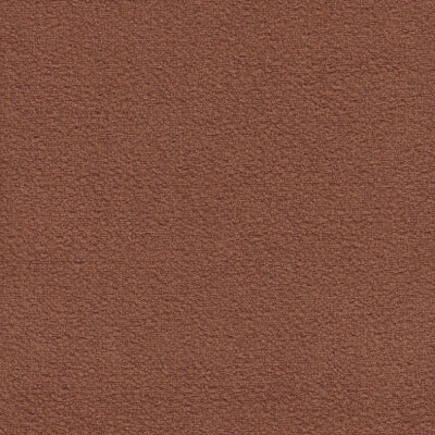 Rust Boucle fabric swatch
