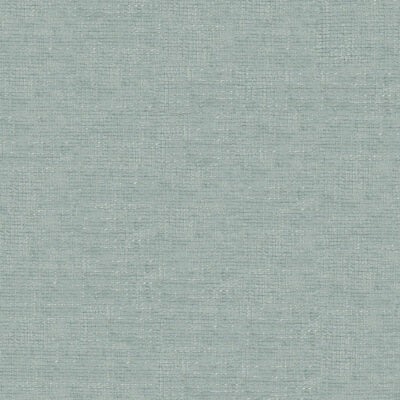 Fiji Chenille fabric swatch
